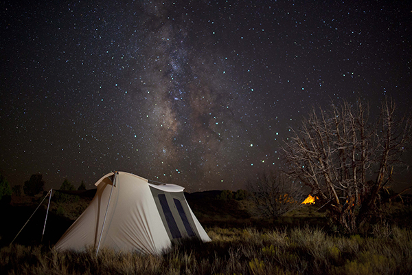 Safari America: Under the Desert Sky