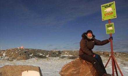 How to Pack for a Polar Bear Adventure