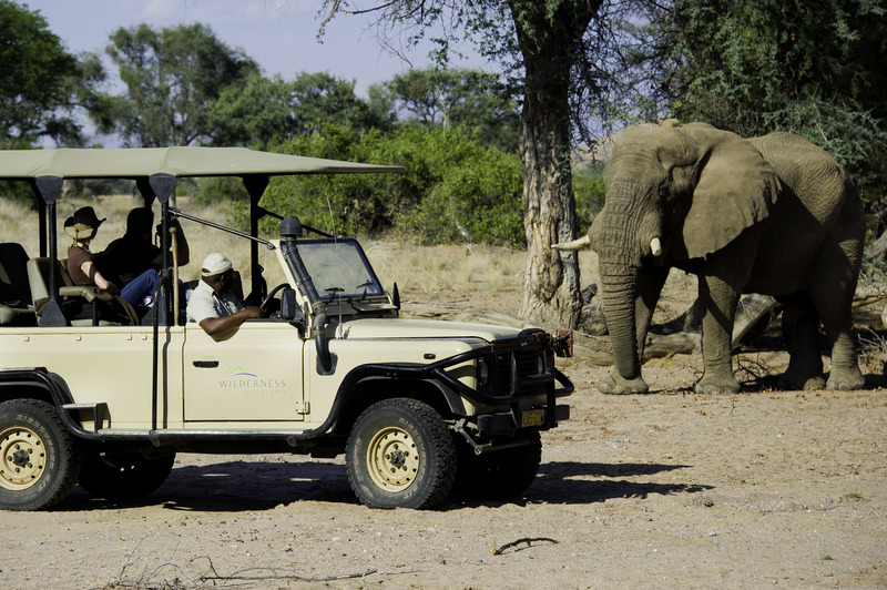 New Research: Elephant Conservation Brings Economic Value through Tourism Revenue