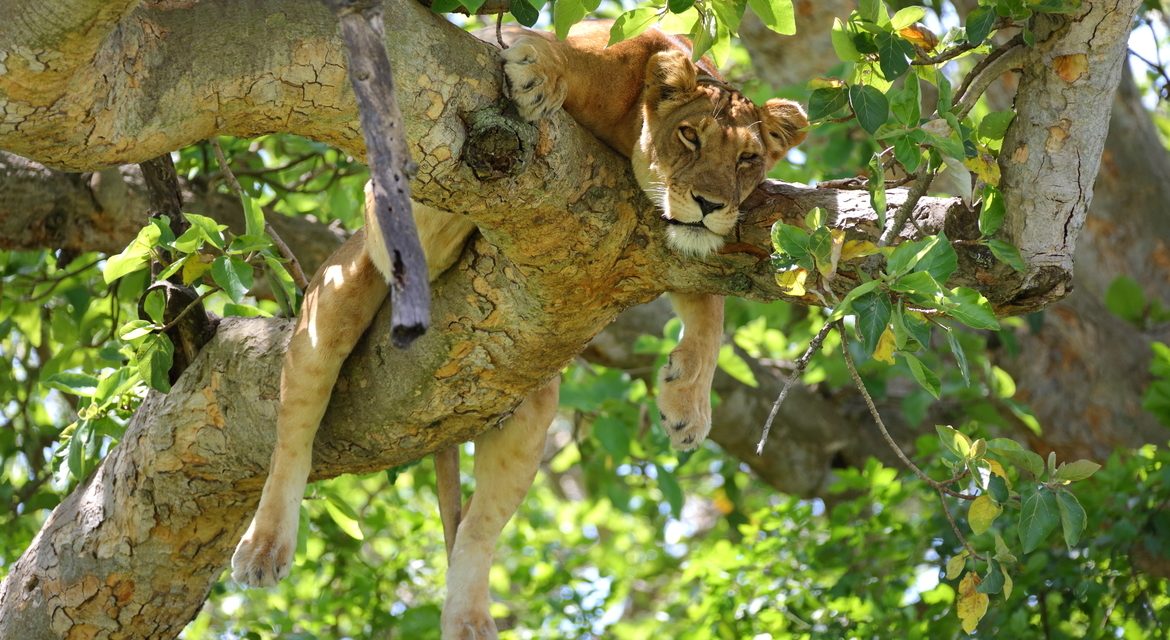 Wildlife Photo of the Week: Hanging Out