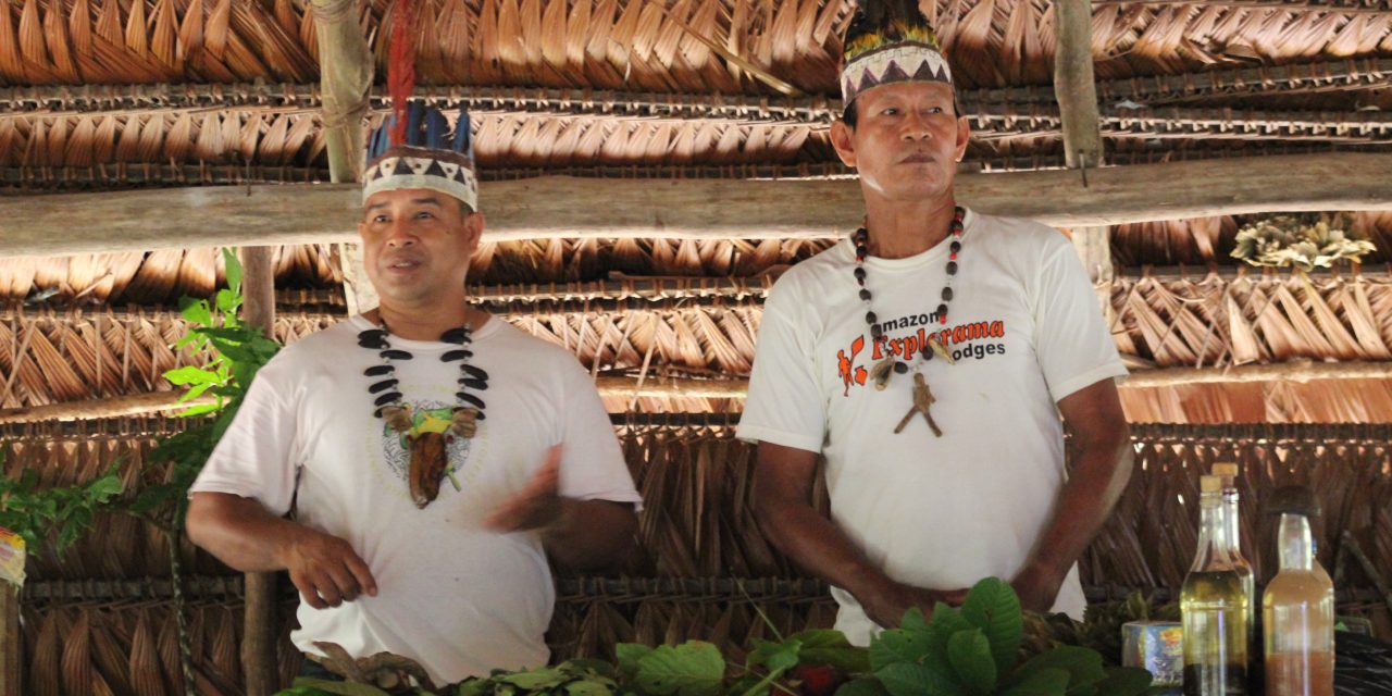 Conservation and Traditional Medicine in the Amazon