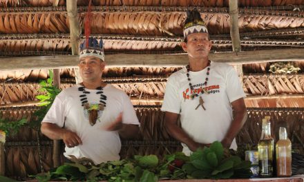 Conservation and Traditional Medicine in the Amazon