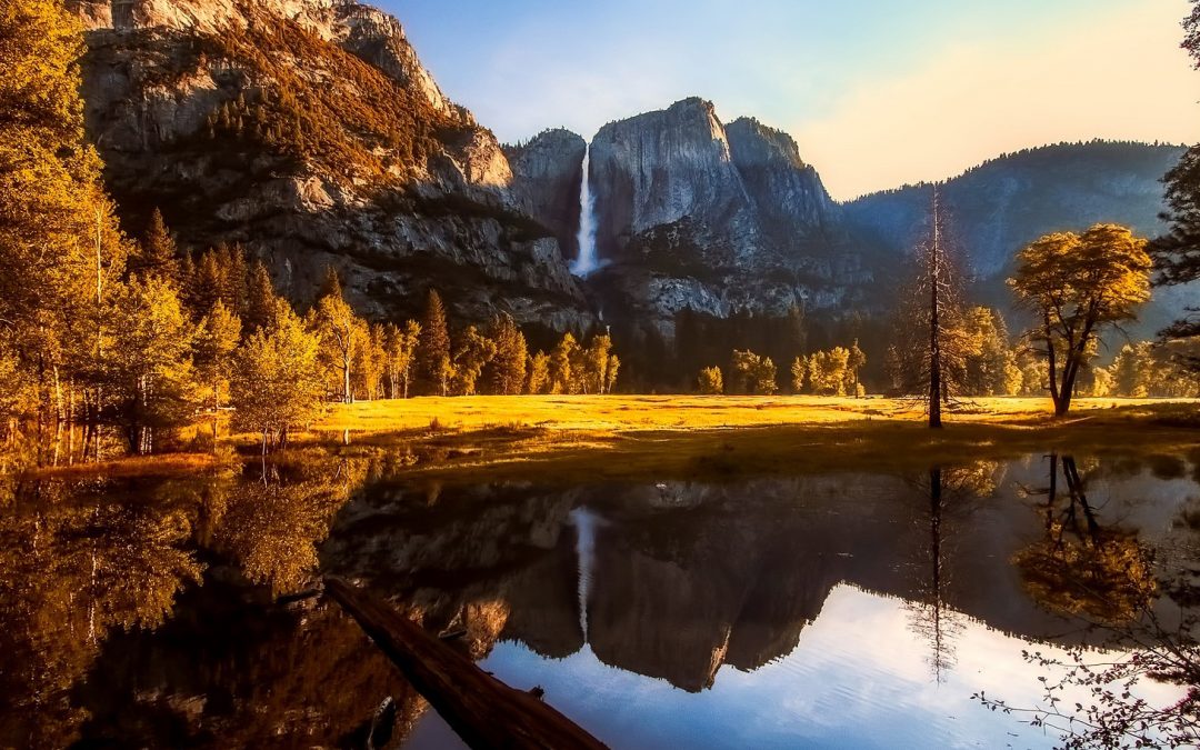 Video: “Hearing Beyond” in Natural Landscapes