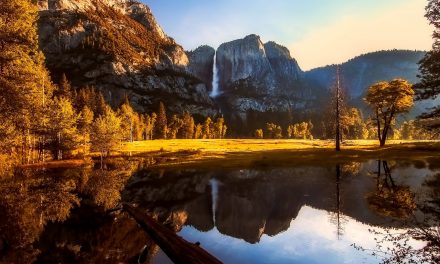 Video: “Hearing Beyond” in Natural Landscapes