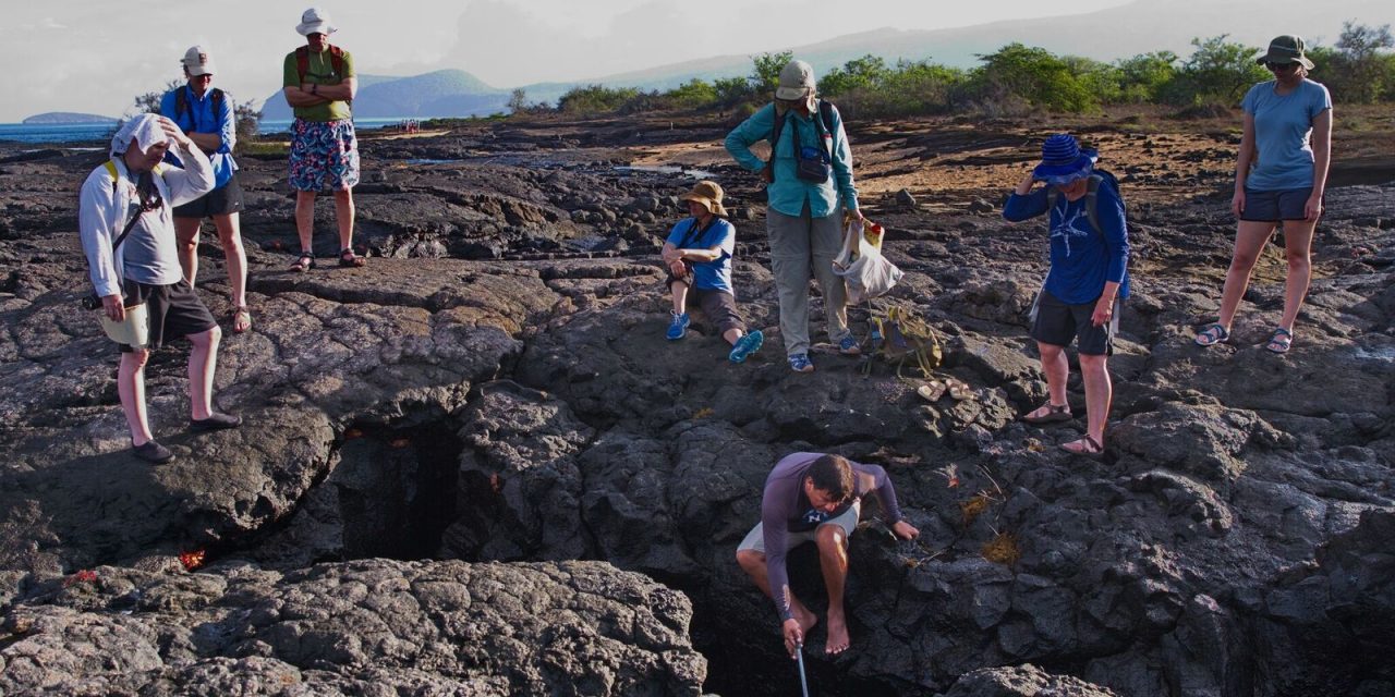 Fishing for Trash: How Travel Keeps Galapagos National Park Pristine
