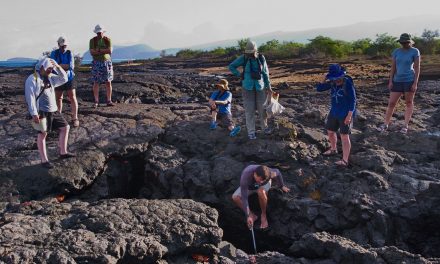 Fishing for Trash: How Travel Keeps Galapagos National Park Pristine