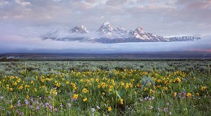 Grand Teton National Park Tour Package