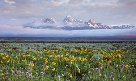 6 Quick Facts About Grand Teton National Park