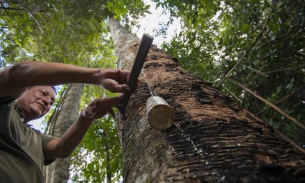 Together Possible: Making a Difference for Peru’s Natural Treasures