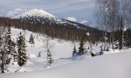 Climate Change and the Siberia Hole: What It Means for You