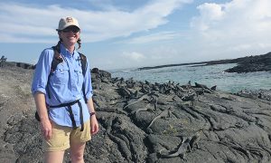 Galapagos Marine Iguanas