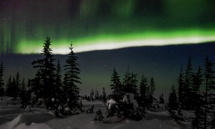 Traveler Story: Northern Lights & Arctic Cultures