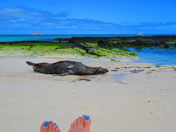 San Cristobal Island, Cerro Brujo (Wizard Hill), sleeping sea lion, Kicking Rock on the horizon along with the Athala, our floating Galapagos Islands home.