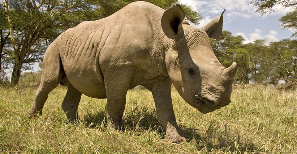 Ultimate Kenya Safaris – Africa Travel Etiquette Part 2