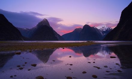 Te Ika Nui in Milford Sound, New Zealand | Olaf’s Corner