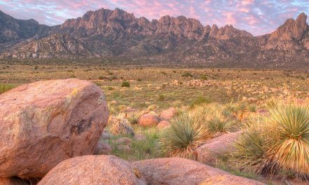 Fighting for Monuments, Refuges and Water—Again and Again