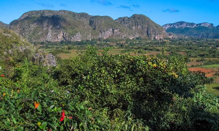 Savoring Cuban Cigars in Viñales National Park, Cuba
