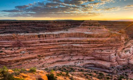 Quickly Losing Protections: Our Birds, Lands and Oceans