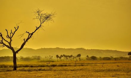 Good News for Climate Change: World’s First Carbon-Capturing Plant Opens
