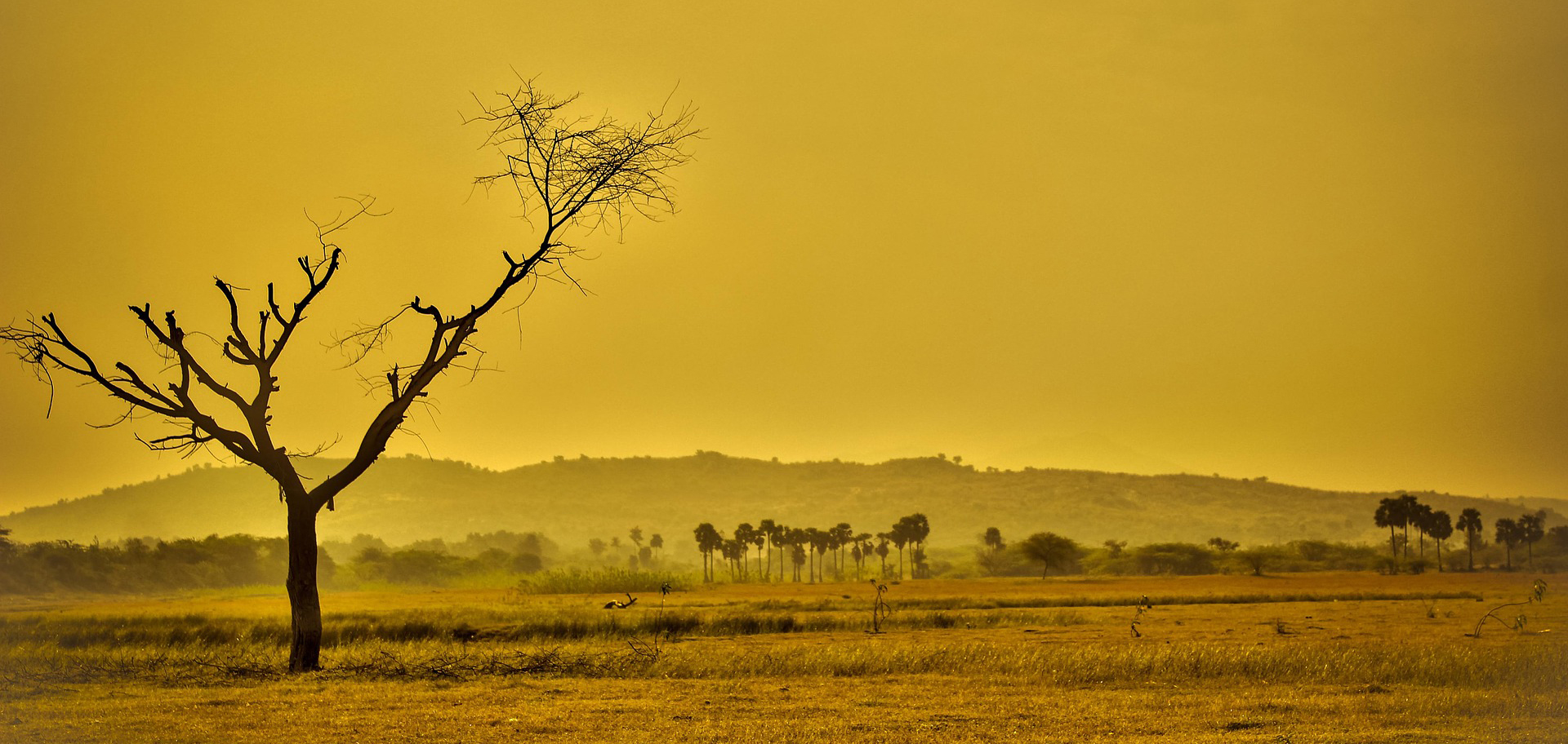 World's First Carbon-Capturing Plant Opens