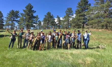 Nat Hab Employees Help Build a Trail in Boulder County