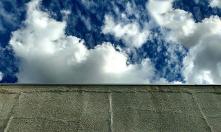 Video: A Concrete Solution for Fighting Climate Change