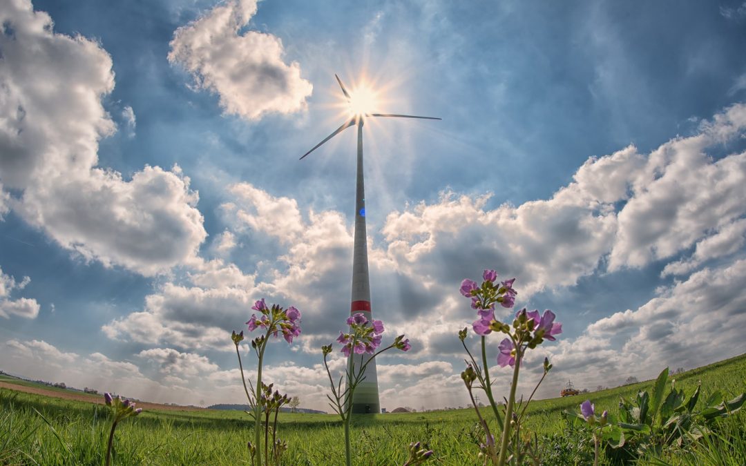 Climate Change Action Figures: Our Governors and Mayors