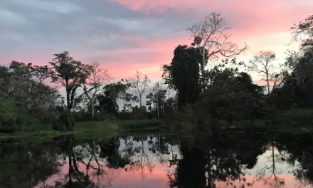 Traveler Story: The Great Amazon River Cruise