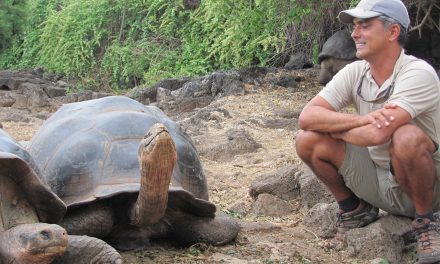 Q-and-A: Guides of the Galapagos
