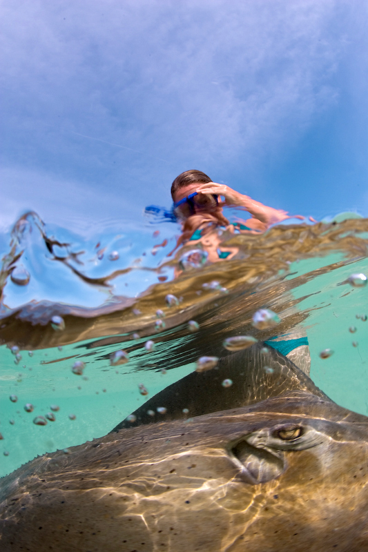 Jennie Lay norkeling with stingrays near Gibbs Cay