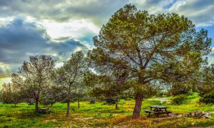 A Labor Day Weekend Video Thought: Sometimes, It Truly Is a Wonderful World