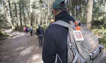 Rules of the Butterfly Kingdom