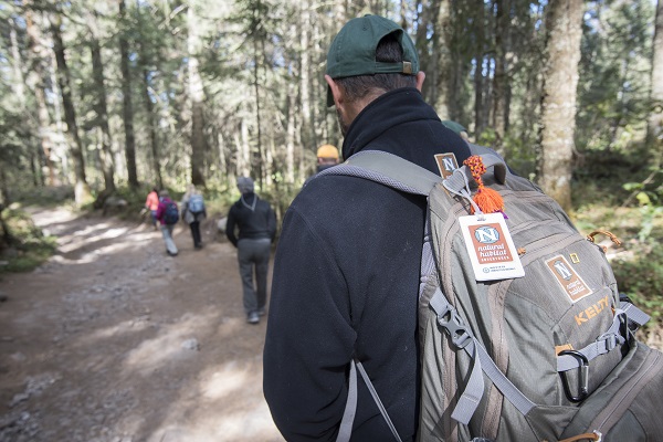 Rules of the Butterfly Kingdom