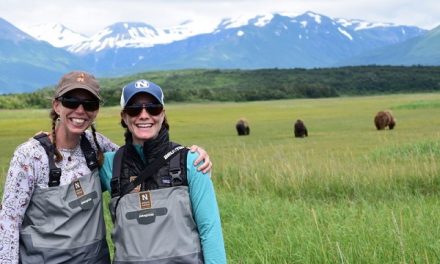 Finding Harmony with Alaskan Grizzly Bears