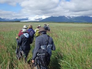 Hiking in the Alaskan wilderness