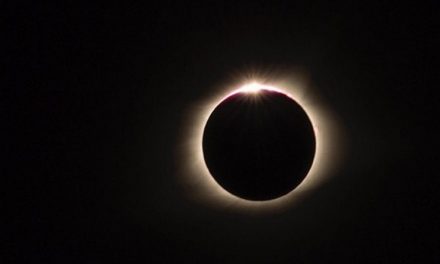 #NatHabEclipse Photo Roundup