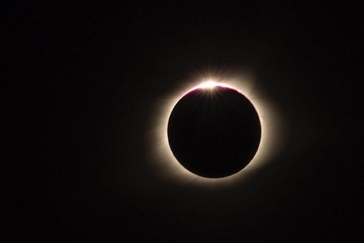 #NatHabEclipse Photo Roundup