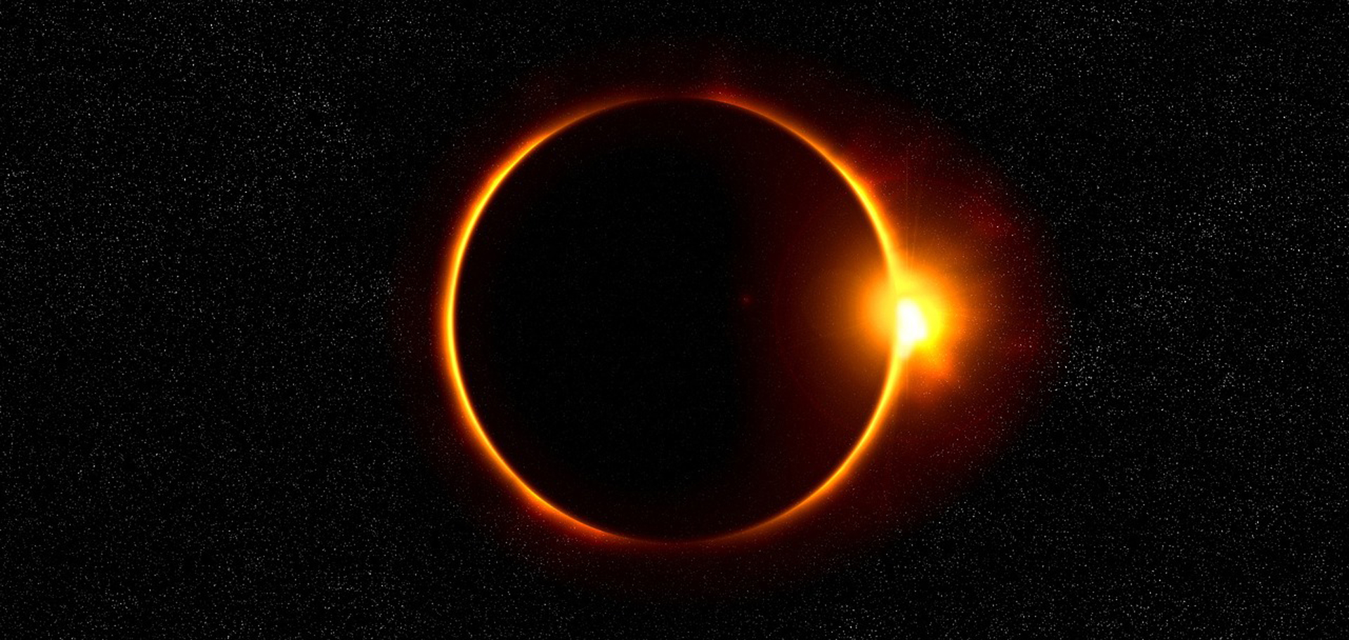 Solar Sclpse Be a Wildlife Naturalist During August's Solar Eclipse