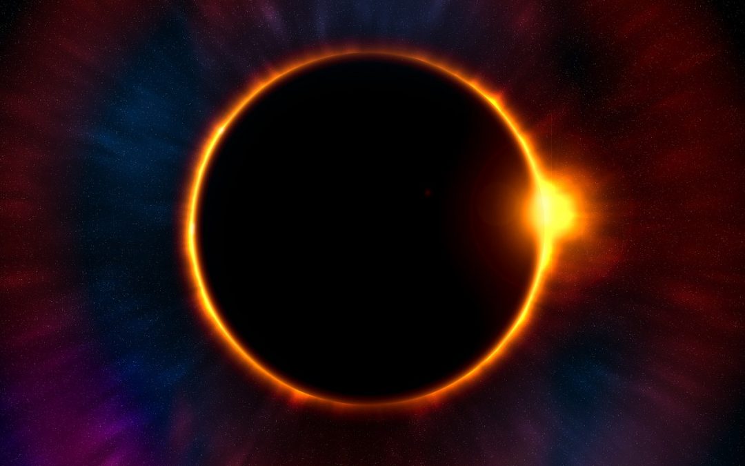 #NatHabEclipse Hashtag Contest—Share Your Eclipse Experiences With Us!