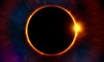 #NatHabEclipse Hashtag Contest—Share Your Eclipse Experiences With Us!