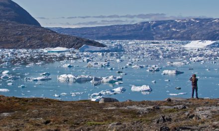 On Land in Greenland: A Photo Essay