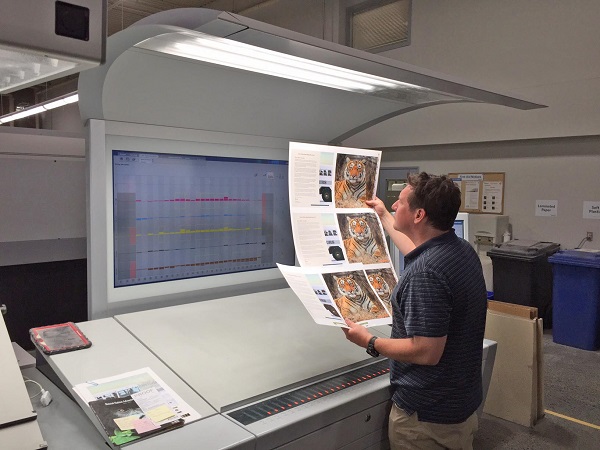 Checking color on inside, front and back. Lookin' good.