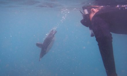 Traveler Story: Ecuador & Galapagos