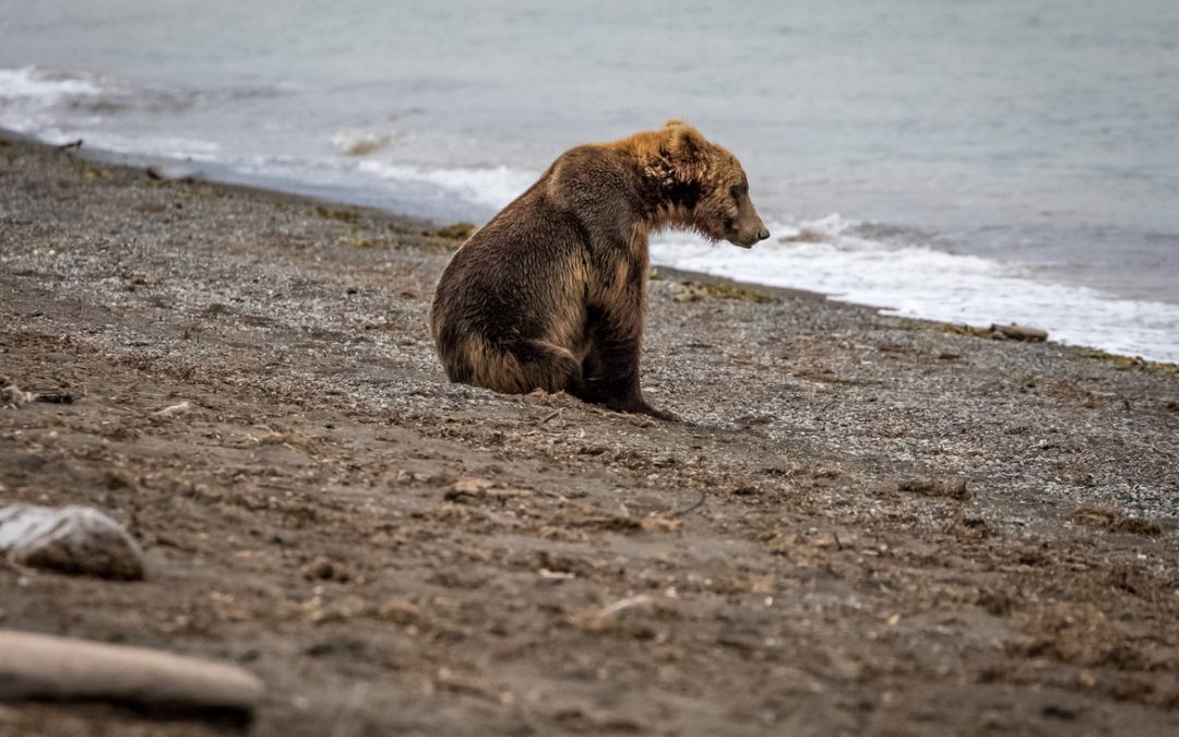 Wildlife Photo of the Week: Oh I Wonder, Wonder…