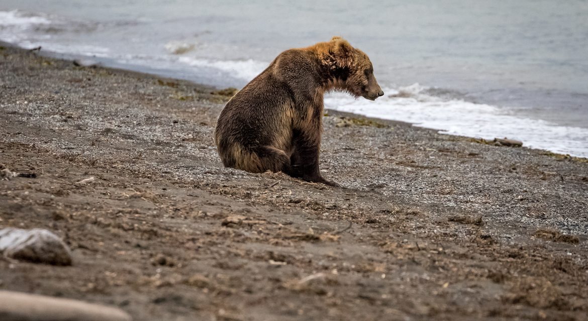 Wildlife Photo of the Week: Oh I Wonder, Wonder…