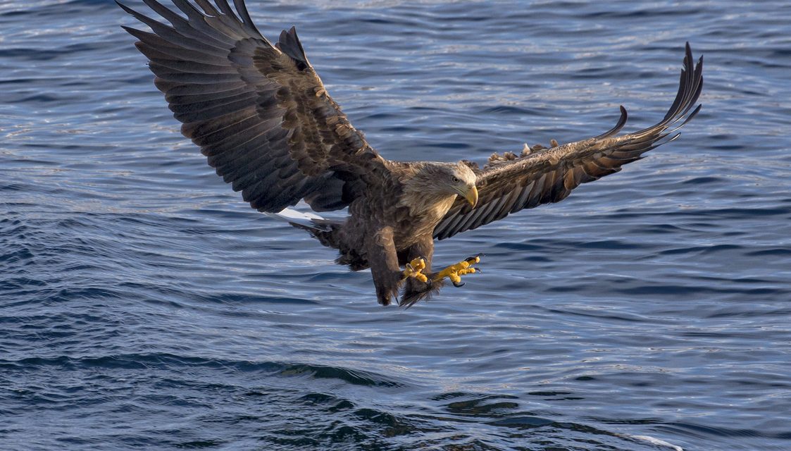 Wildlife Photo of the Week: It’s Mine