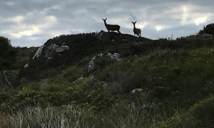 Traveler Story: Scotland’s Wild Highlands & Islands