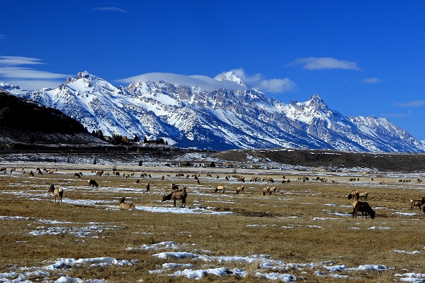 The Grand Tetons captured from The National Elk Refuge outside of Jackson, Wyoming