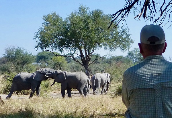 A Secluded Botswana Safari Experience
