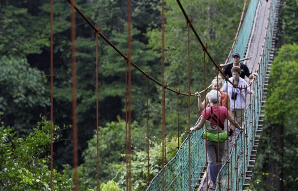 Big Adventure on a Wild Island